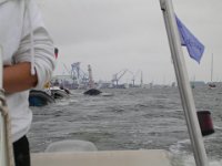 Hanse sail 2010.SANY3673